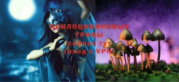 ПСИЛОЦИБИНОВЫЕ ГРИБЫ Семикаракорск