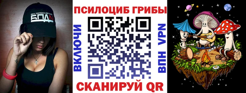 Купить где  Шилка  Псилоцибиновые грибы MAGIC MUSHROOMS 